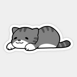 Grey and White Chub Cat Sticker